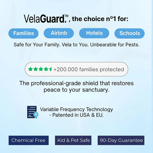 VelaGuard™ | The Silent Revolution