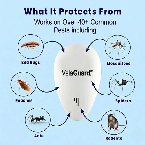 VelaGuard™ | The Silent Revolution