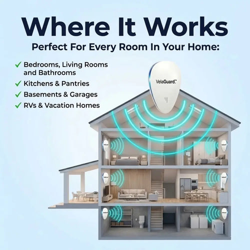 VelaGuard™ | The Silent Revolution